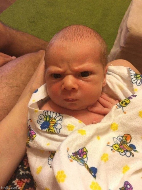 pluck and i are blessed to welcome our second baby into the world! his name is Pet Sperm #2, and hes truly a gift from God <333 | made w/ Imgflip meme maker