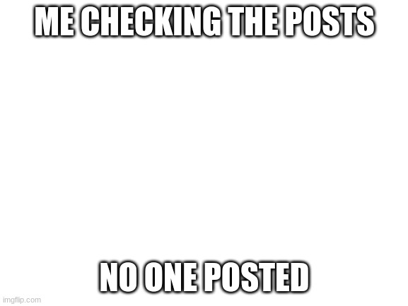 Blank White Template | ME CHECKING THE POSTS; NO ONE POSTED | image tagged in blank white template | made w/ Imgflip meme maker