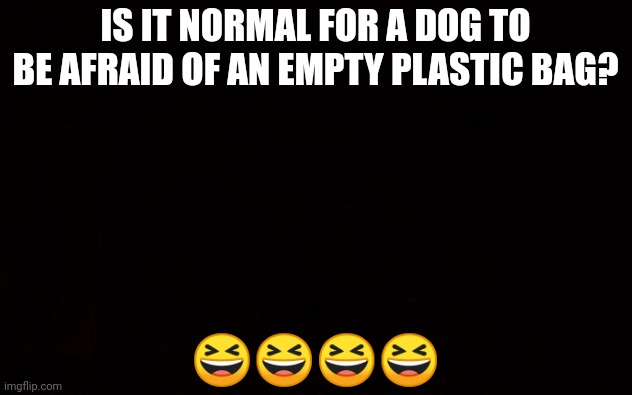 BLACK PAGE | IS IT NORMAL FOR A DOG TO BE AFRAID OF AN EMPTY PLASTIC BAG? 😆😆😆😆 | image tagged in black page | made w/ Imgflip meme maker