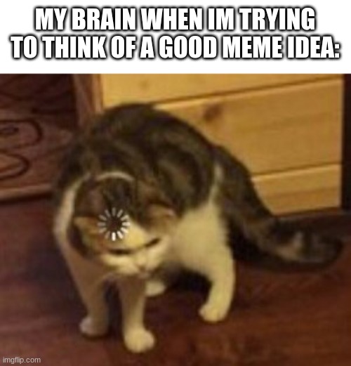 It takes forever | MY BRAIN WHEN IM TRYING TO THINK OF A GOOD MEME IDEA: | image tagged in loading cat | made w/ Imgflip meme maker