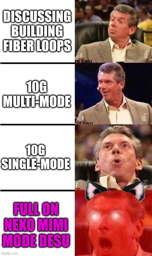 IT Weebs be like | DISCUSSING BUILDING FIBER LOOPS; 10G MULTI-MODE; 10G SINGLE-MODE; FULL ON NEKO MIMI MODE DESU | image tagged in vince mcmahon reaction w/glowing eyes | made w/ Imgflip meme maker