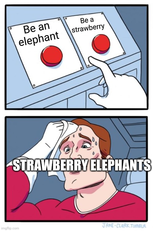 Strawbarry elephant | Be a strawberry; Be an elephant; STRAWBERRY ELEPHANTS | image tagged in memes,two buttons | made w/ Imgflip meme maker