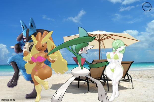 Lucario,Lopunny,Gallade and Gardevoir enjoying a day at the beach | image tagged in beach | made w/ Imgflip meme maker