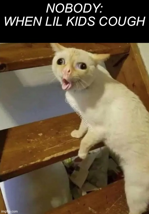 It’s true! | NOBODY:
WHEN LIL KIDS COUGH | image tagged in memes,cats | made w/ Imgflip meme maker