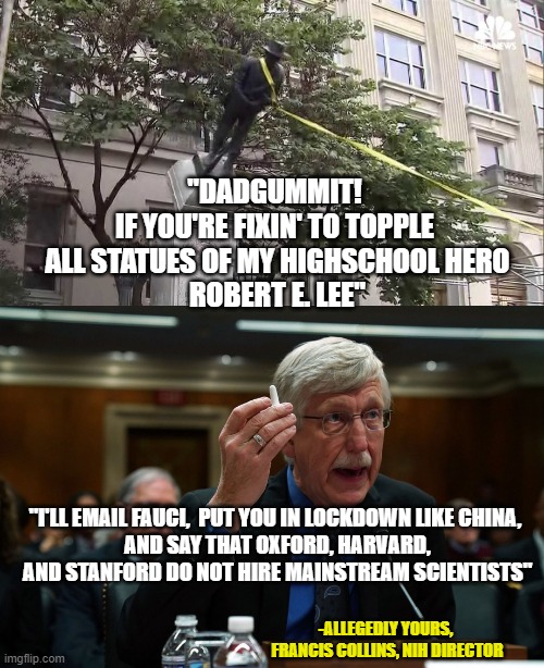 ROBERT E LEE high school graduate application not accepted at Harvard nor Stanford | "DADGUMMIT! 
IF YOU'RE FIXIN' TO TOPPLE 
ALL STATUES OF MY HIGHSCHOOL HERO
ROBERT E. LEE"; "I'LL EMAIL FAUCI,  PUT YOU IN LOCKDOWN LIKE CHINA, 
AND SAY THAT OXFORD, HARVARD, AND STANFORD DO NOT HIRE MAINSTREAM SCIENTISTS"; -ALLEGEDLY YOURS, 
FRANCIS COLLINS, NIH DIRECTOR | image tagged in francis collins,fauci,nevertrump meme,climate change,cracker,robert e lee | made w/ Imgflip meme maker
