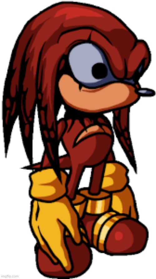 Wechidna | image tagged in knuckles | made w/ Imgflip meme maker