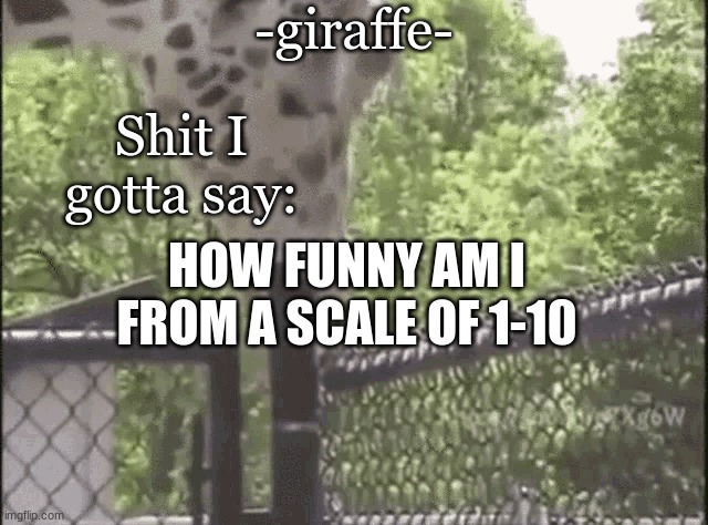 -giraffe- | HOW FUNNY AM I FROM A SCALE OF 1-10 | image tagged in -giraffe- | made w/ Imgflip meme maker