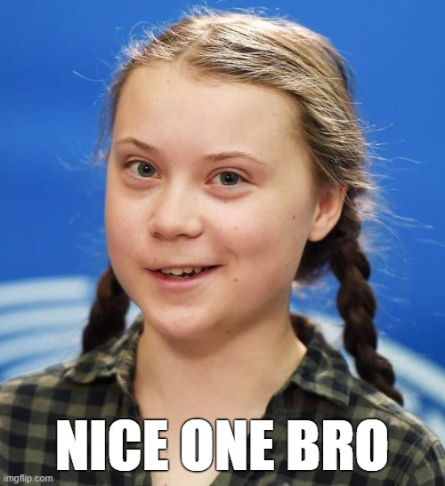 Greta Thunberg | NICE ONE BRO | image tagged in greta thunberg | made w/ Imgflip meme maker