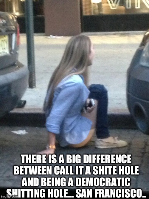Democrats shit | THERE IS A BIG DIFFERENCE BETWEEN CALL IT A SHITE HOLE
AND BEING A DEMOCRATIC SHITTING HOLE… SAN FRANCISCO.. | image tagged in democrats shit | made w/ Imgflip meme maker