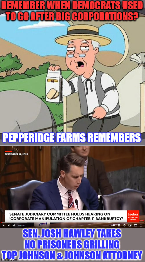 This is what everyone in Congress should be doing... | REMEMBER WHEN DEMOCRATS USED TO GO AFTER BIG CORPORATIONS? PEPPERIDGE FARMS REMEMBERS; SEN. JOSH HAWLEY TAKES NO PRISONERS GRILLING TOP JOHNSON & JOHNSON ATTORNEY | image tagged in memes,pepperidge farm remembers,greedy,corporations,crooked | made w/ Imgflip meme maker