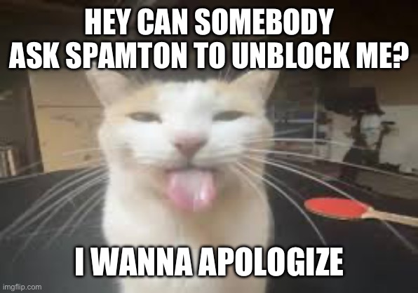 Cat | HEY CAN SOMEBODY ASK SPAMTON TO UNBLOCK ME? I WANNA APOLOGIZE | image tagged in cat | made w/ Imgflip meme maker