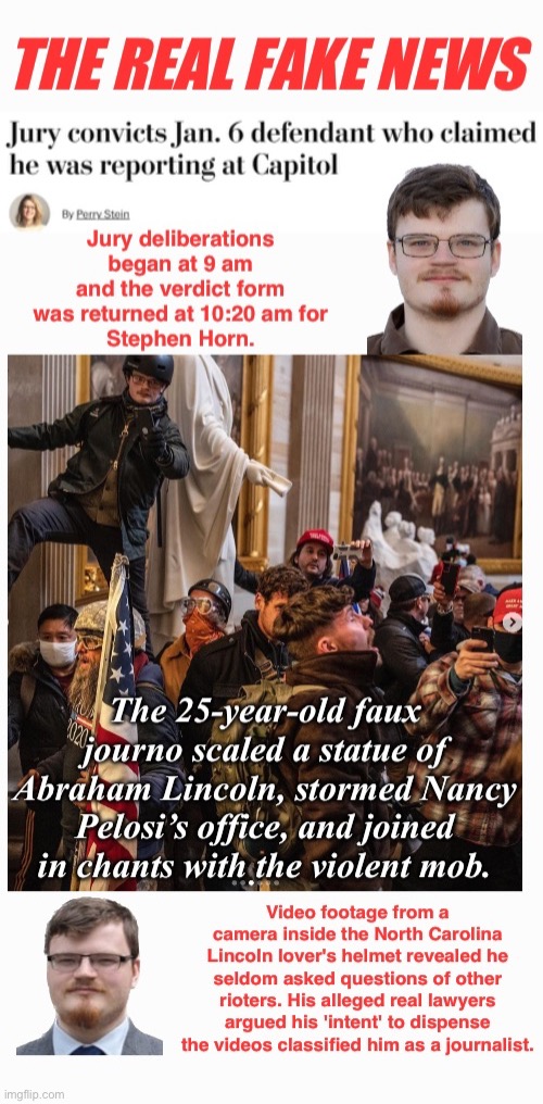 Fake Journo | image tagged in liar,loser,domestic terrorists,safety in numbers,the lincoln lovers's lawyers,treason | made w/ Imgflip meme maker