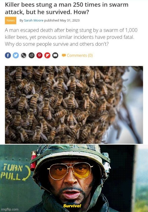 Survival from the killer bees | image tagged in tropic thunder survive,killer bees,bees,bee,memes,survival | made w/ Imgflip meme maker