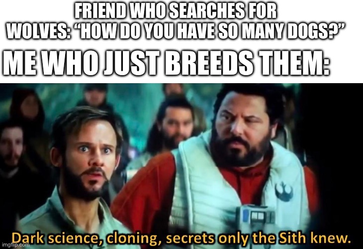 Does anyone else do this? | FRIEND WHO SEARCHES FOR WOLVES: “HOW DO YOU HAVE SO MANY DOGS?”; ME WHO JUST BREEDS THEM: | image tagged in minecraft,dogs,friends that i do not have | made w/ Imgflip meme maker
