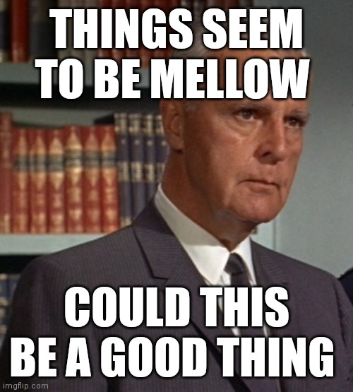 Commissioner Gordon | THINGS SEEM TO BE MELLOW; COULD THIS BE A GOOD THING | image tagged in commissioner gordon | made w/ Imgflip meme maker