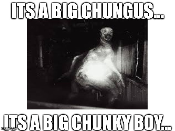 bro my guy be thickkk | ITS A BIG CHUNGUS... ITS A BIG CHUNKY BOY... | image tagged in scp-3199,funny | made w/ Imgflip meme maker