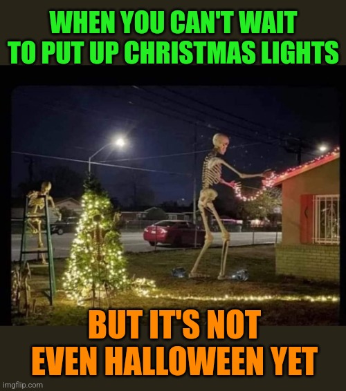 Happy Hallodays | WHEN YOU CAN'T WAIT TO PUT UP CHRISTMAS LIGHTS; BUT IT'S NOT EVEN HALLOWEEN YET | image tagged in halloween,christmas,decorating,skeletons,christmas lights,christmas before halloween | made w/ Imgflip meme maker