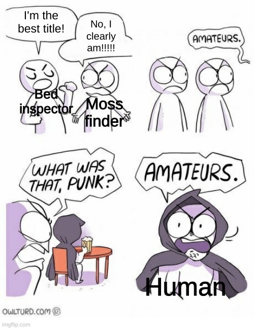 Amateurs | I'm the best title! No, I clearly am!!!!! Bed inspector; Moss finder; Human | image tagged in amateurs | made w/ Imgflip meme maker