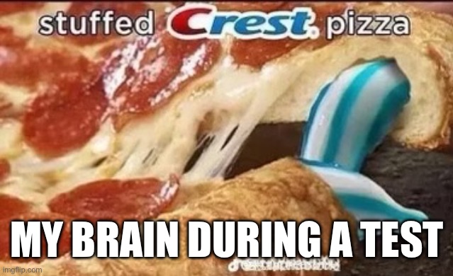 I hope no one will actually eat this | MY BRAIN DURING A TEST | image tagged in pizza,toothpaste | made w/ Imgflip meme maker