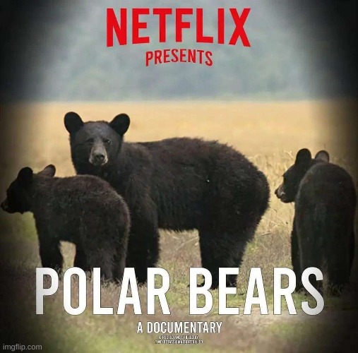 netflix lore | made w/ Imgflip meme maker