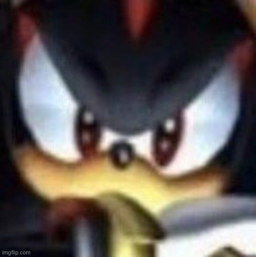 shadow stare | image tagged in shadow stare | made w/ Imgflip meme maker