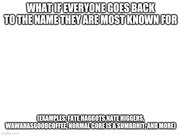WHAT IF EVERYONE GOES BACK TO THE NAME THEY ARE MOST KNOWN FOR; (EXAMPLES, FATE HAGGOTS,NATE HIGGERS, WAWAHASGOODCOFFEE, NORMAL CORE IS A SUMBDHIT, AND MORE) | made w/ Imgflip meme maker