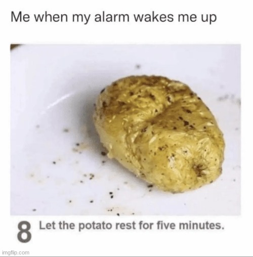 Let it rest | image tagged in potato,funny,funny memes | made w/ Imgflip meme maker