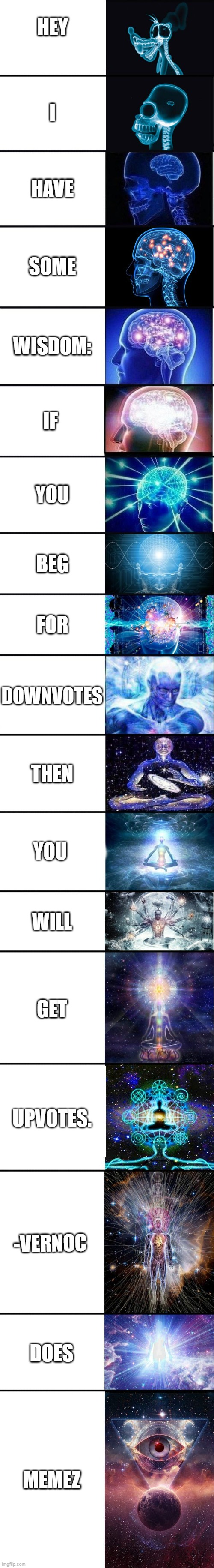 Hmmmmmmm | HEY; I; HAVE; SOME; WISDOM:; IF; YOU; BEG; FOR; DOWNVOTES; THEN; YOU; WILL; GET; UPVOTES. -VERNOC; DOES; MEMEZ | image tagged in expanding brain 9001 | made w/ Imgflip meme maker