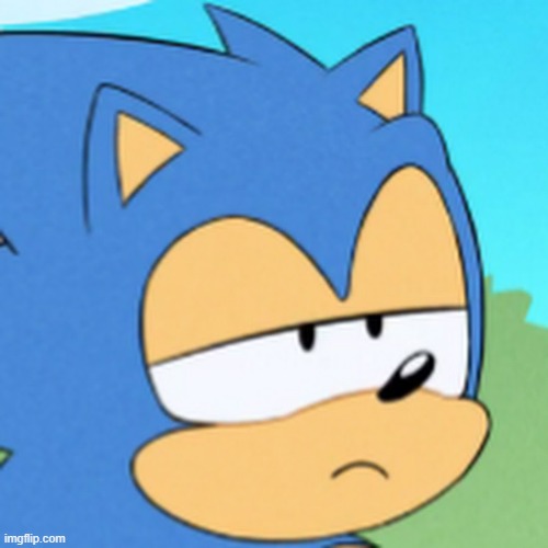 bruh sonic | image tagged in bruh sonic | made w/ Imgflip meme maker
