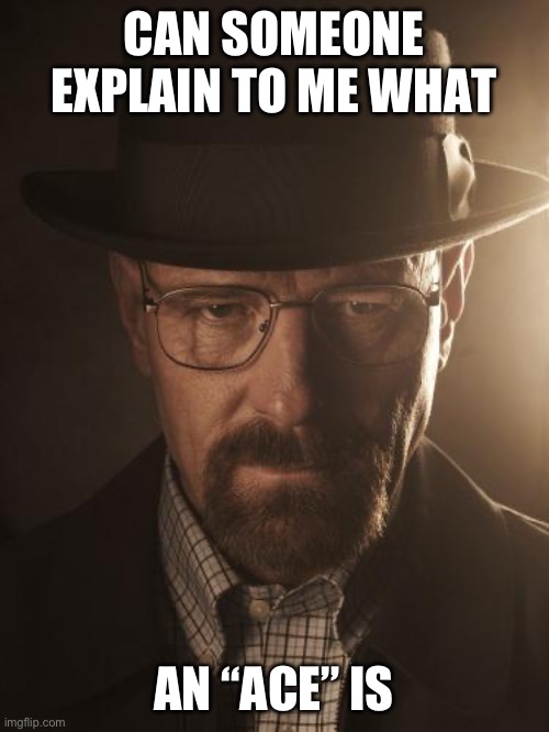 Walter White | CAN SOMEONE EXPLAIN TO ME WHAT; AN “ACE” IS | image tagged in walter white | made w/ Imgflip meme maker