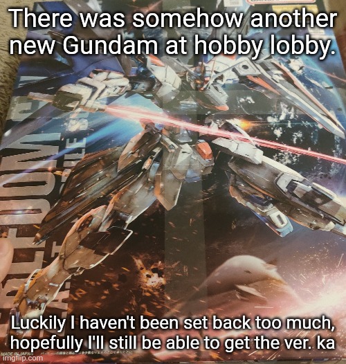 There was a discount so it was about 20 bucks | There was somehow another new Gundam at hobby lobby. Luckily I haven't been set back too much, hopefully I'll still be able to get the ver. ka | made w/ Imgflip meme maker
