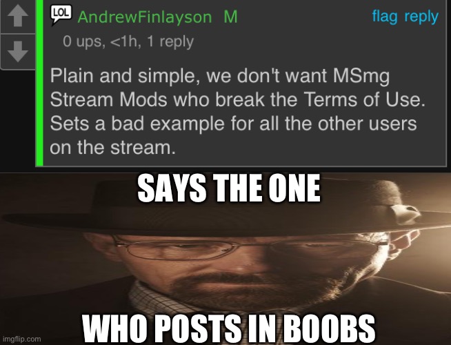 SAYS THE ONE; WHO POSTS IN BOOBS | made w/ Imgflip meme maker