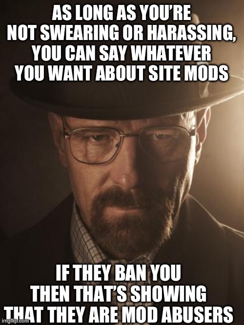 Walter White | AS LONG AS YOU’RE NOT SWEARING OR HARASSING, YOU CAN SAY WHATEVER YOU WANT ABOUT SITE MODS; IF THEY BAN YOU THEN THAT’S SHOWING THAT THEY ARE MOD ABUSERS | image tagged in walter white | made w/ Imgflip meme maker