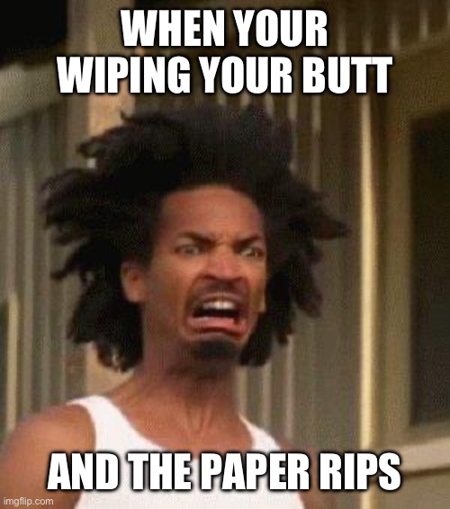 Disgusted Face | WHEN YOUR WIPING YOUR BUTT; AND THE PAPER RIPS | image tagged in disgusted face | made w/ Imgflip meme maker