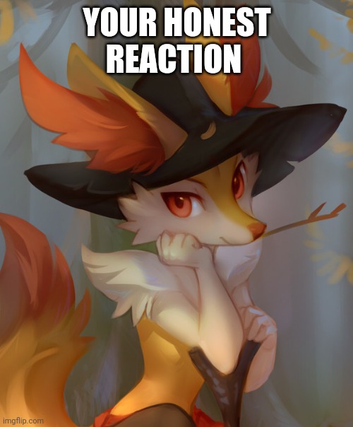 autumn braixen witch 2d10 | YOUR HONEST REACTION | image tagged in autumn braixen witch 2d10 | made w/ Imgflip meme maker