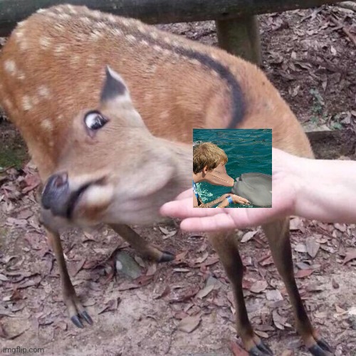 nope | image tagged in nope | made w/ Imgflip meme maker