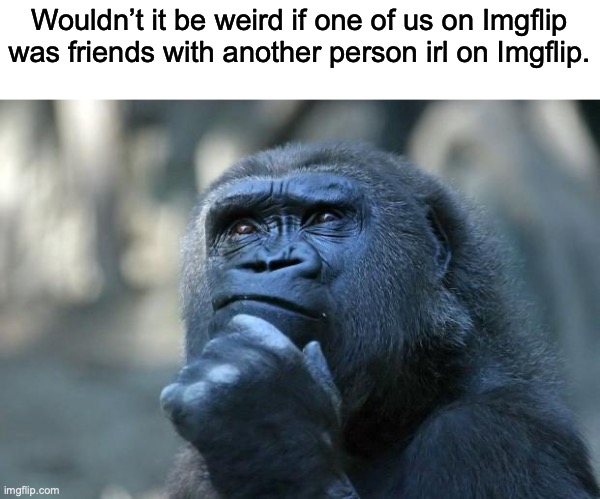 But we didn’t know it because its online, also had to stop it before it got too long of a meme. | Wouldn’t it be weird if one of us on Imgflip was friends with another person irl on Imgflip. | image tagged in deep thoughts | made w/ Imgflip meme maker