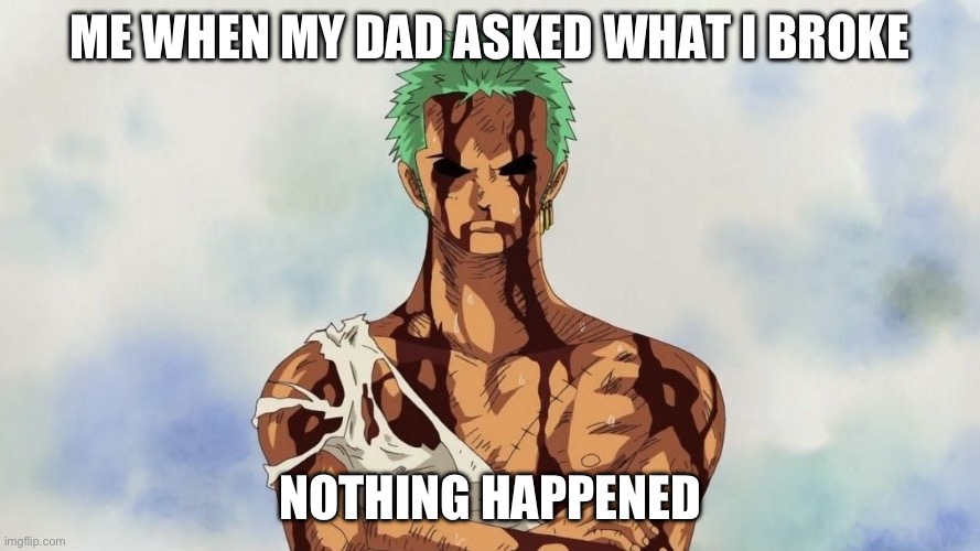 Zoro | ME WHEN MY DAD ASKED WHAT I BROKE; NOTHING HAPPENED | image tagged in zoro | made w/ Imgflip meme maker