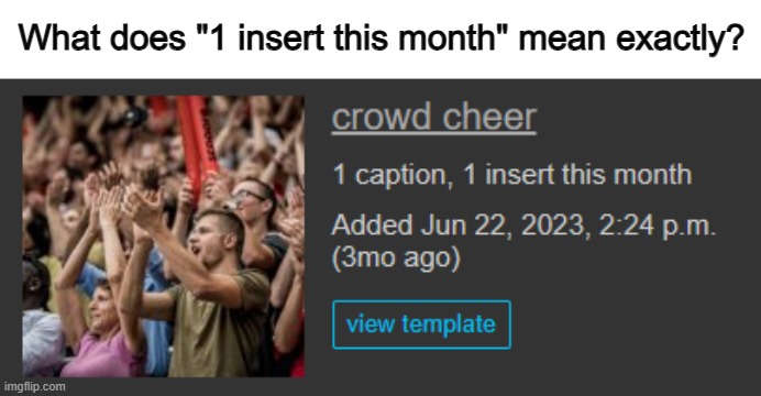 I've never seen this... | What does "1 insert this month" mean exactly? | made w/ Imgflip meme maker