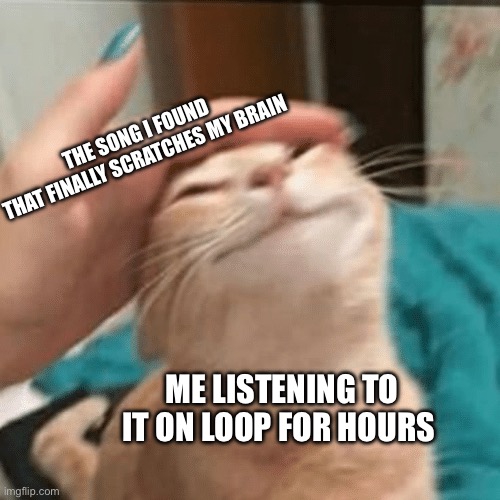 I have F O U N D it | THE SONG I FOUND
THAT FINALLY SCRATCHES MY BRAIN; ME LISTENING TO IT ON LOOP FOR HOURS | image tagged in pet the cat | made w/ Imgflip meme maker