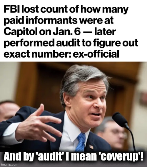 You gotta be kiddin' me... | And by 'audit' I mean 'coverup'! | image tagged in chris wray fbi,january 6,democrats,fbi informants,corruption | made w/ Imgflip meme maker