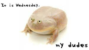 High Quality its Wednesday my dudes Blank Meme Template