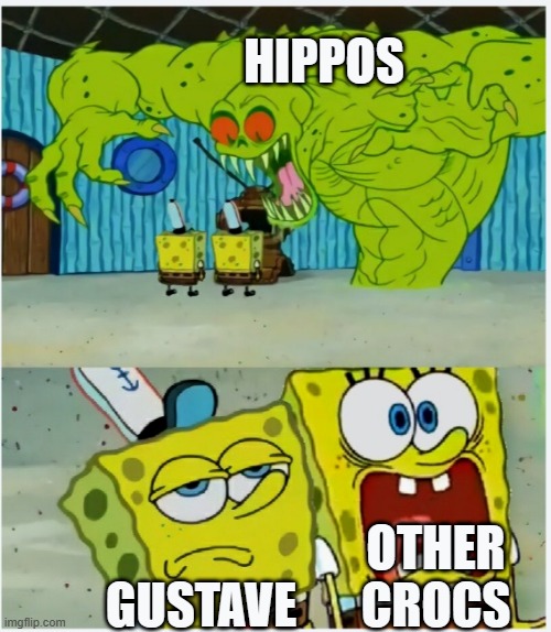 SpongeBob SquarePants scared but also not scared | HIPPOS; OTHER CROCS; GUSTAVE | image tagged in spongebob squarepants scared but also not scared | made w/ Imgflip meme maker