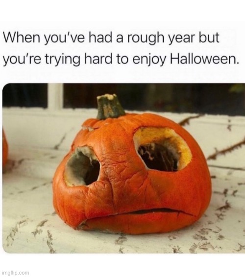 I love Halloween ???? | image tagged in funny,halloween | made w/ Imgflip meme maker