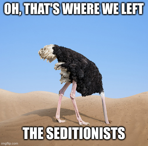 That's where we left X | OH, THAT'S WHERE WE LEFT; THE SEDITIONISTS | image tagged in that's where we left x | made w/ Imgflip meme maker