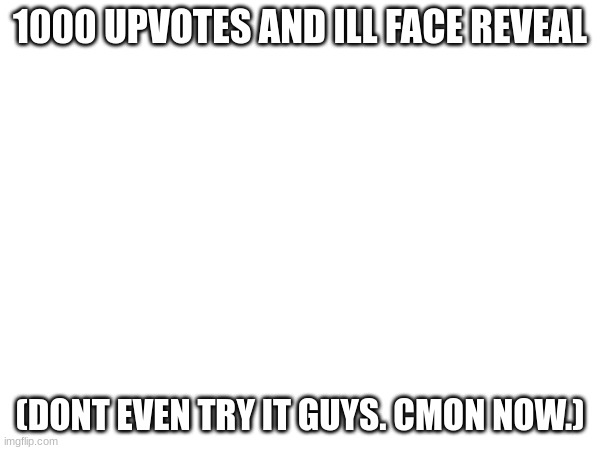 if this actually gets 1000 upvotes bro.. | 1000 UPVOTES AND ILL FACE REVEAL; (DONT EVEN TRY IT GUYS. CMON NOW.) | image tagged in bro stfu thedbdrager42 | made w/ Imgflip meme maker