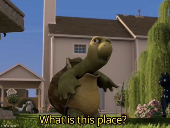 What is this place | image tagged in what is this place | made w/ Imgflip meme maker