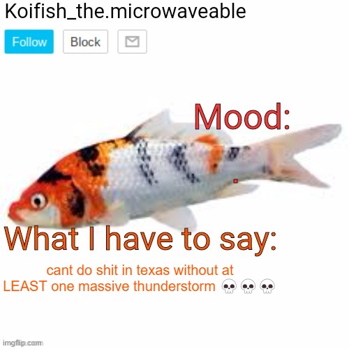 Koifish_the.microwaveable announcement | . cant do shit in texas without at LEAST one massive thunderstorm 💀💀💀 | image tagged in koifish_the microwaveable announcement | made w/ Imgflip meme maker