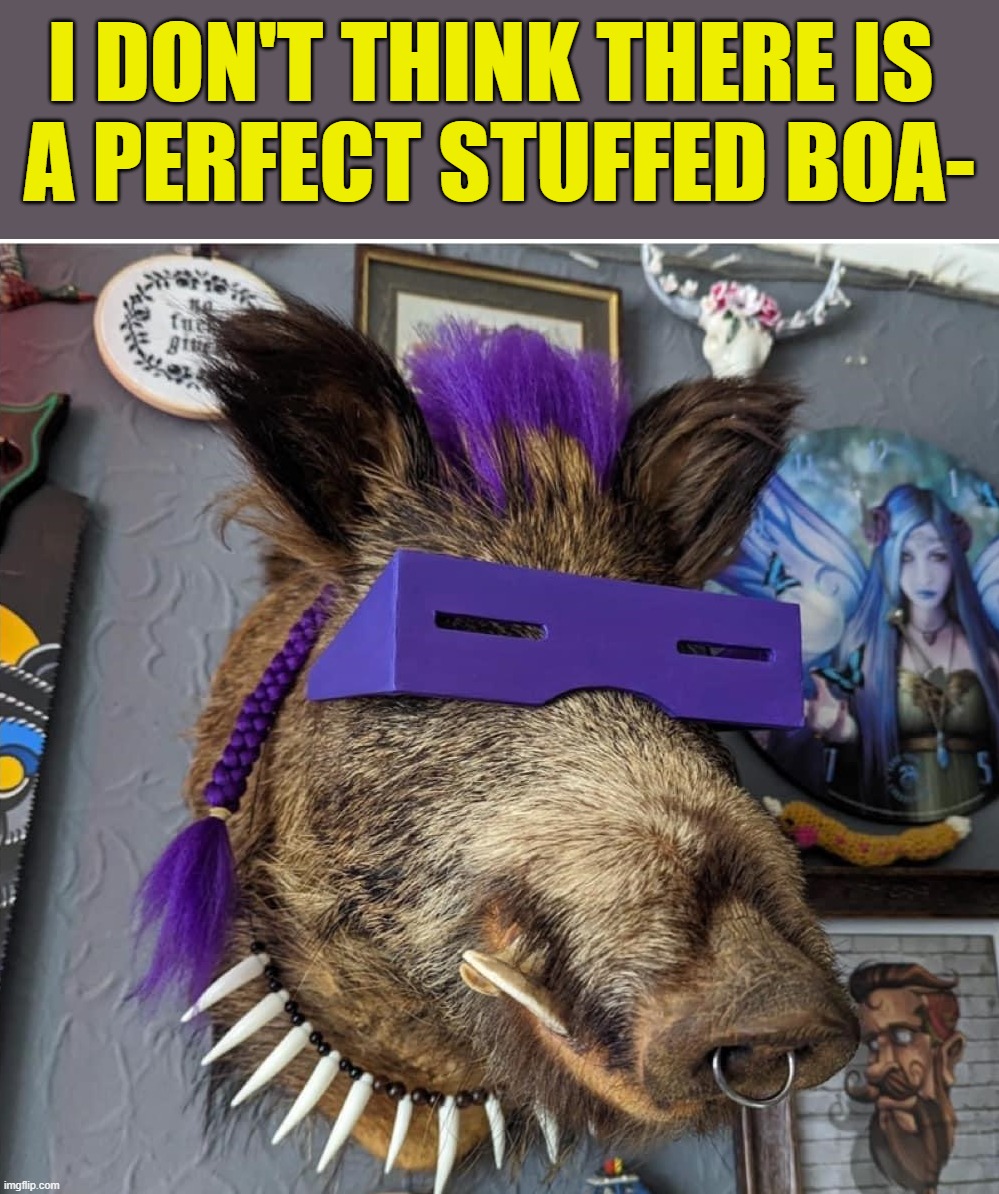 I DON'T THINK THERE IS 
A PERFECT STUFFED BOA- | image tagged in stuffed animal | made w/ Imgflip meme maker