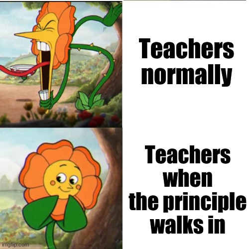 so true | Teachers normally; Teachers when the principle walks in | image tagged in cuphead flower,memes,relatable,school | made w/ Imgflip meme maker